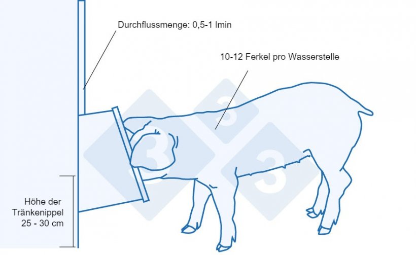 Empfehlungen f&uuml;r Tr&auml;nken f&uuml;r frisch abgesetzte Ferkel
