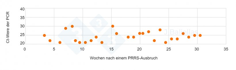 Abbildung 2: Entwicklung der Ct-Werte der PCR in den Wochen nach einem PRRS-Ausbruch
