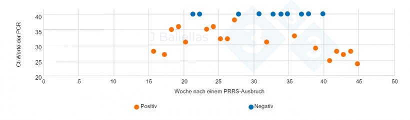 Abbildung 4: Entwicklung der Ct-Werte der PCR in den Wochen nach dem PRRS-Ausbruch
