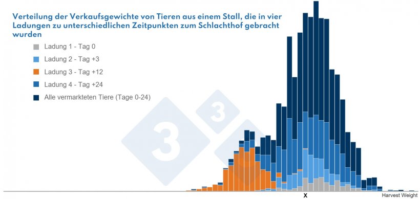 Es ist deutlich zu erkennen, dass die Tiere mit dem Gewicht X aus 4 verschiedenen Teilpopulationen stammen
