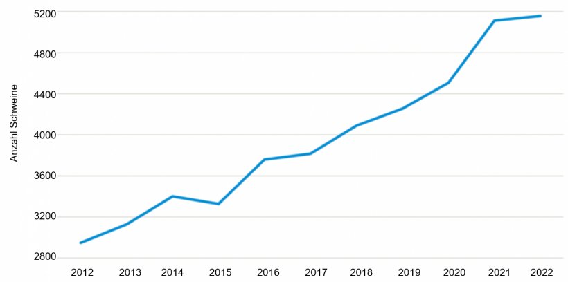 Durchschnittliche Gr&ouml;&szlig;e der Schweinebetriebe in D&auml;nemark. Quelle: Danmarks Statistics.
