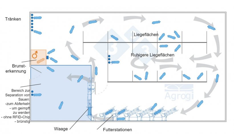 Tr&auml;chtigkeit in dynamischen Gruppen mit Gewichtskontrolle
