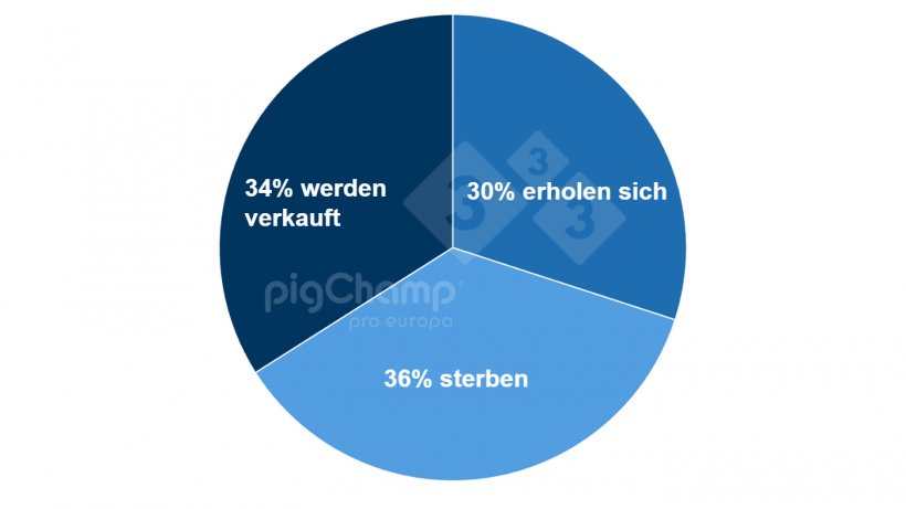 Grafik 2: Verteilung der Sauen, die keine Ferkel abgesetzt haben, nach ihrem sp&auml;teren Schicksal, Absetzzeitraum Juli 2020 bis Juni 2021.
