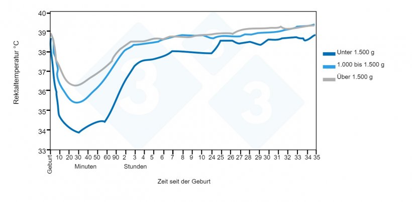 Abbildung 2: Entwicklung der Rektaltemperatur bei Ferkeln von der Geburt bis zum Alter von 35 Stunden in Abh&auml;ngigkeit von der Gewichtsgruppe bei der Geburt. Quelle: Pattison, English, MacPherson, and Birnie 1989.
