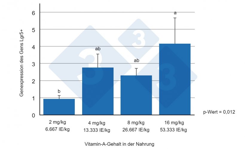 Abbildung 1: Expression des Lgr5+ Gens im Jejunum von Absetzferkeln, die mit unterschiedlichen Mengen an Vitamin A gef&uuml;ttert wurden. Unterschiedliche Buchstaben weisen auf statistisch signifikante Unterschiede (p &lt; 0,05) hin. Quelle: Wang et al., 2020.
