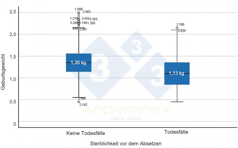 Grafik 4: Durchschnittliches Geburtsgewicht der &uuml;berlebenden Ferkel (&bdquo;keine Todesf&auml;lle&ldquo;) und durchschnittliches Geburtsgewicht der Todesf&auml;lle. Hochsignifikante Unterschiede zwischen den beiden Gruppen (F=155,713; p&lt;0,001). Quelle: Javier Lorente. Gewerblicher Betrieb, 3483 Ferkel einzeln gewogen, 2021
