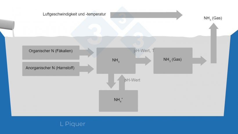 Abbildung 2: Zyklus der Ammoniakbildung (NH3) w&auml;hrend der G&uuml;llelagerung.
