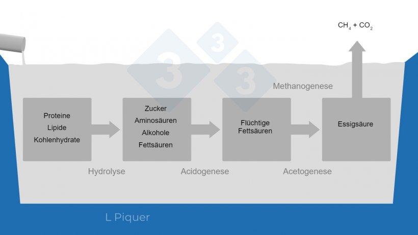 Abbildung 1: Zyklus der Methanbildung (CH4) w&auml;hrend der G&uuml;llelagerung.
