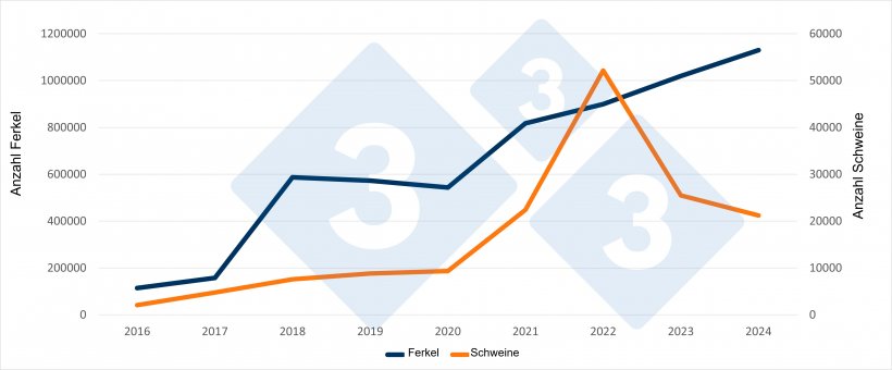 Spanische Einfuhren von niederl&auml;ndischen Ferkeln und Schweinen im ersten Halbjahr 2016 bis 2024. Quelle: 333 mit RVO-Daten
