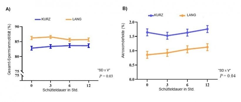 Abb. 1: Effekt der Wechselwirkung zwischen Sch&uuml;tteldauer (SD: 0, 3, 6 und 12 Stunden) und Verd&uuml;nnungsmittel (V) (Langzeitverd&uuml;nner: LANG, Kurzzeitverd&uuml;nner: KURZ) auf die Gesamtmotilit&auml;t der Spermien (A) und Akrosomdefekte (B) in Eberspermadosen (n = 20 Eber). Die Werte sind als Mittelwert &plusmn; SE (Standardfehler) angegeben.
