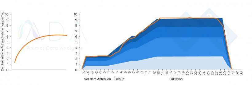 Abbildung 1: Theoretisch optimales Fressmuster laktierender Sauen und Ergebnisse aus der Praxis
