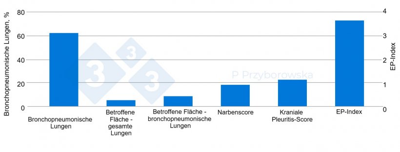 Abb. 3: Die Ergebnisse der Lungenuntersuchung wurden in einem Diagramm dargestellt.
