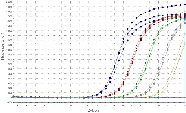 Amplifikationsplots