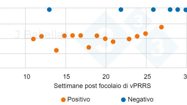 Figura 1. Evoluzione dei valori PCR Ct nelle settimane successive all&#39;episodio&nbsp;di PRRS.
