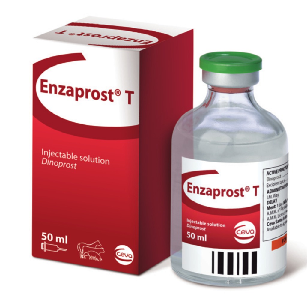 ENZAPROST® T