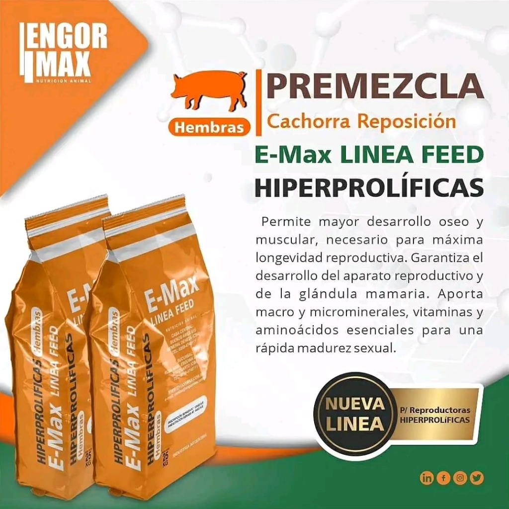 Nueva línea para cerdas hiperprolíficas 