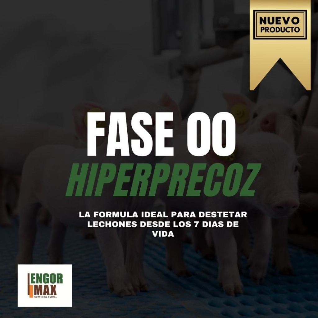 Fase 00 Hiperprecoz