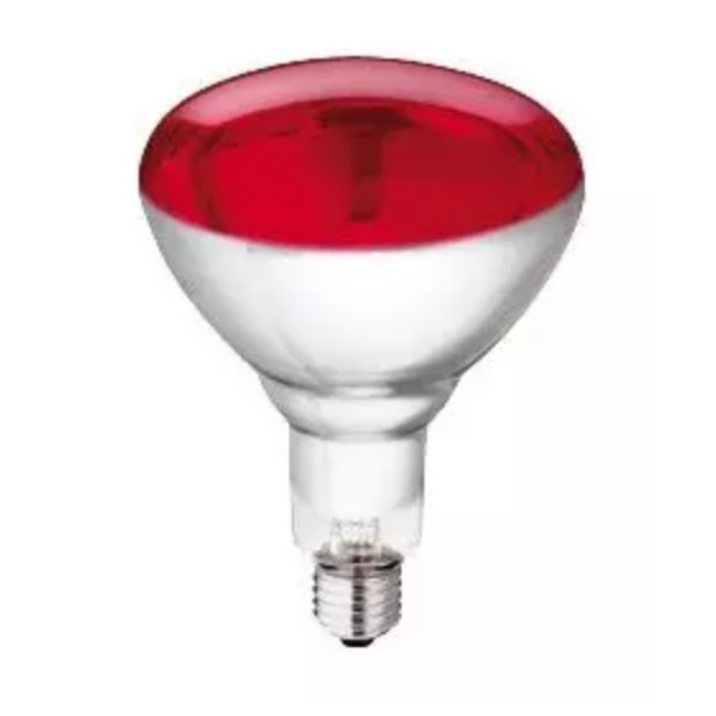 Philips rote Heizlampe HG 250 Watt 10 Stück