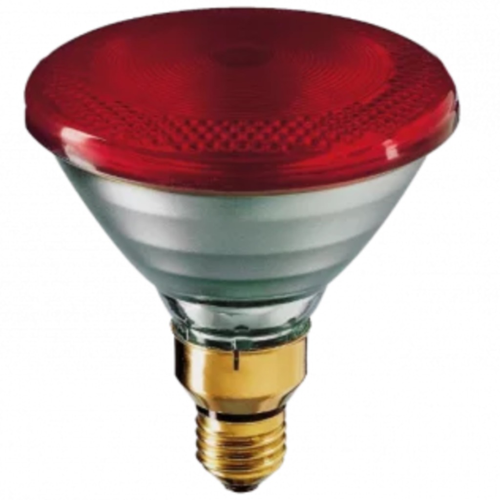 Philips PAR Infrarotlampe 100 Watt weiß-rot 12 Stk