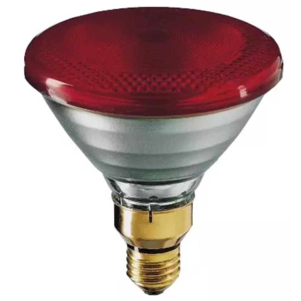 Philips PAR 175 Watt Infrarotlampe 1 Einheit