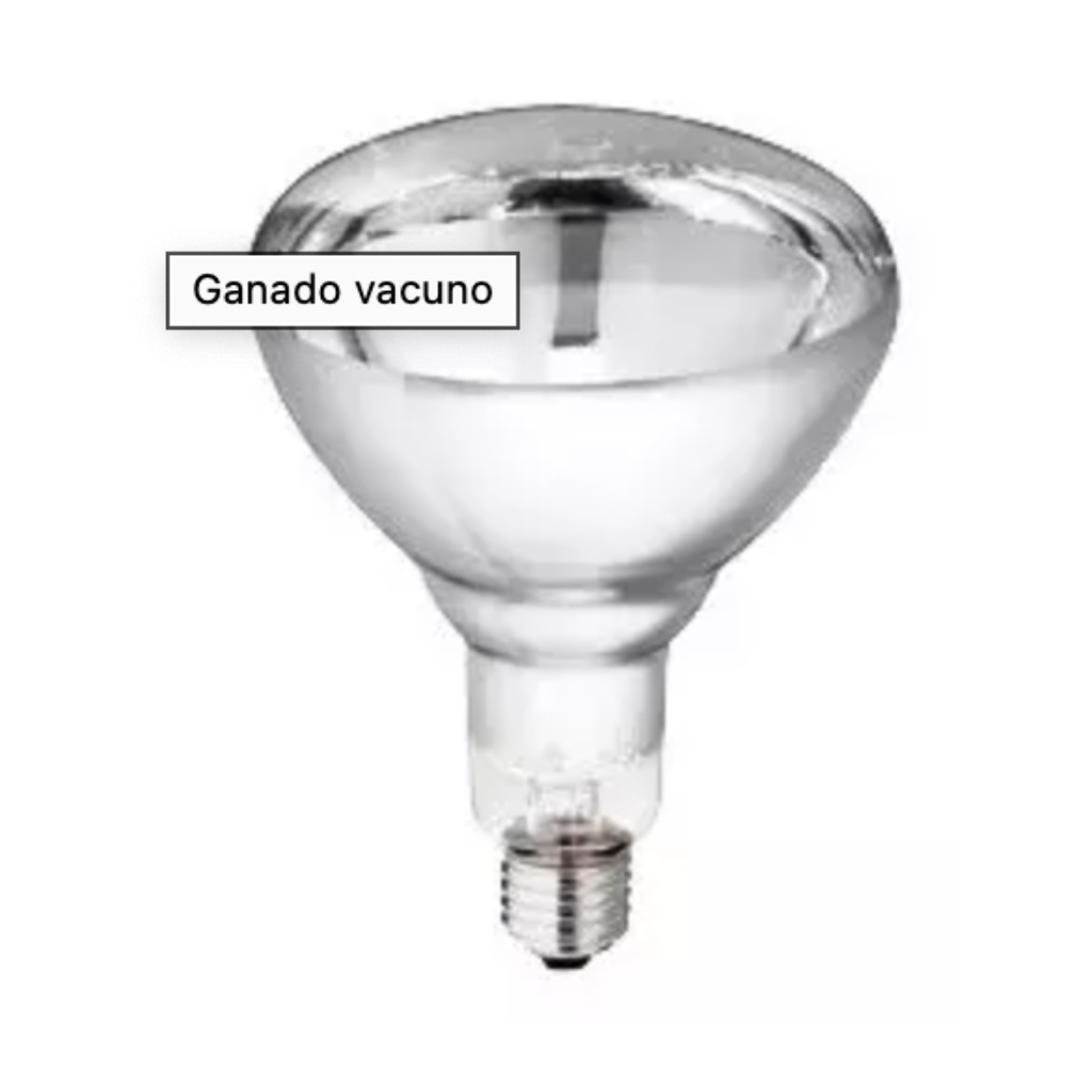 Philips rote Heizlampe 150 Watt HG 10 Stk