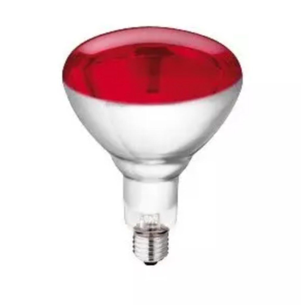 Philips 250 Watt Heizlampe