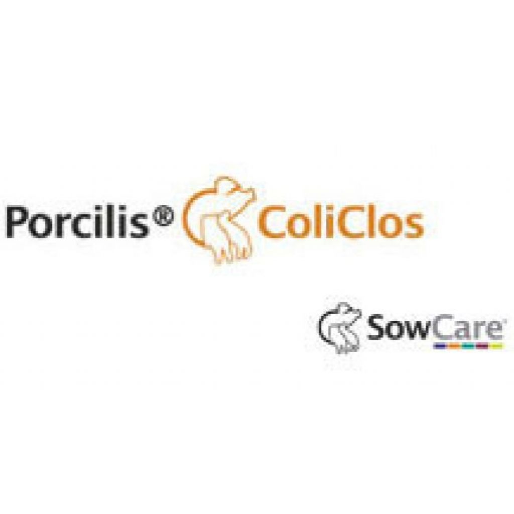 Porcilis Coliclos